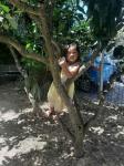 tree climb kea3